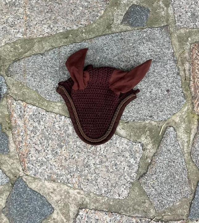 hnědá čabraka